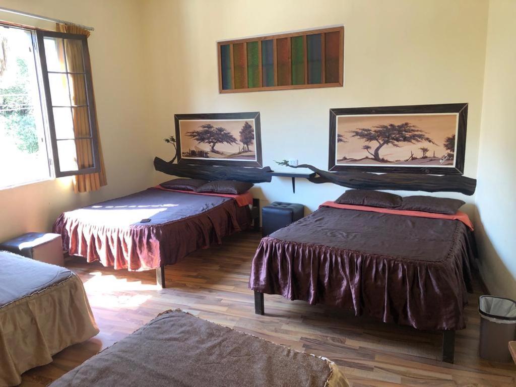 Hostal Huacachina Sunset Ica Ngoại thất bức ảnh
